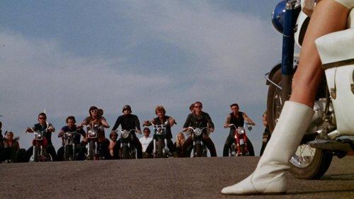 The Born Losers filmas žiurėti online