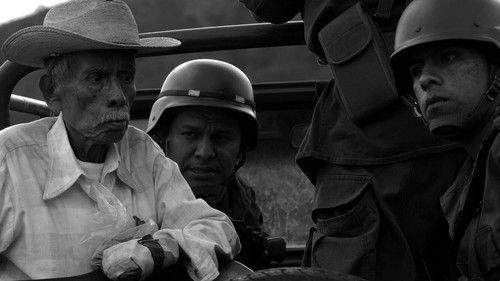 The Violin filmas žiurėti online