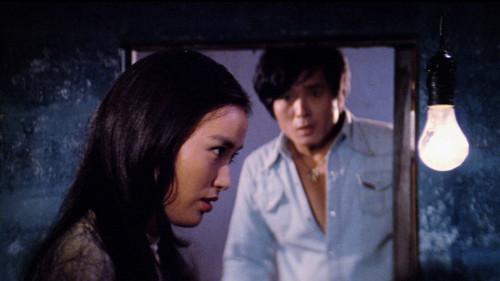 A Woman After a Killer Butterfly filmas žiurėti online