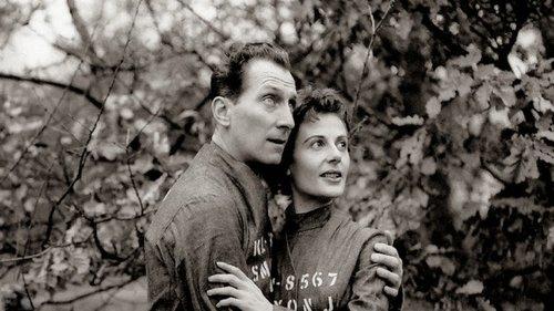 Nineteen Eighty-Four filmas žiurėti online