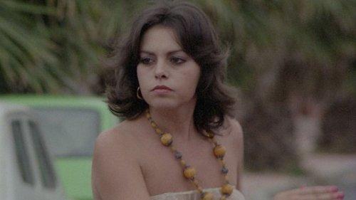 The Night Of Open Sex filmas žiurėti online