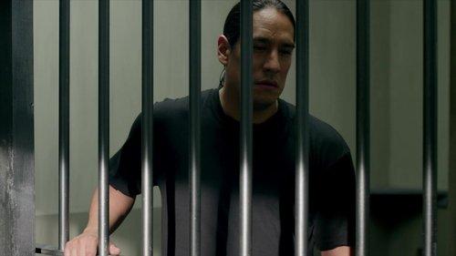 The Activist filmas žiurėti online