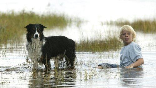 Venner for livet filmas žiurėti online