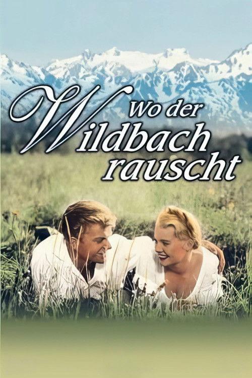 Wo der Wildbach rauscht filmas online