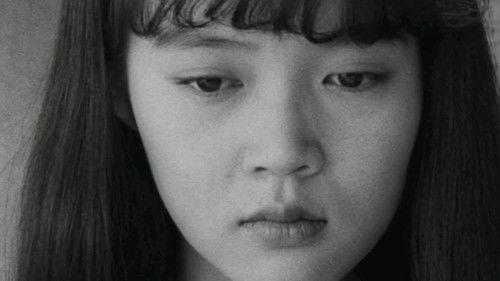 The Room filmas žiurėti online