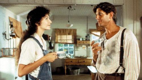 Cross Creek filmas žiurėti online