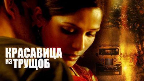 Lūšnynų gražuolė filmas žiurėti online