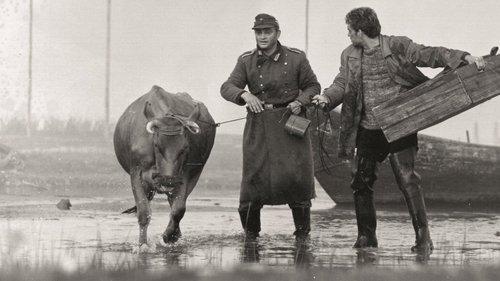 Feelings filmas žiurėti online