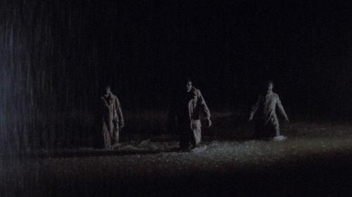 Wolf filmas žiurėti online