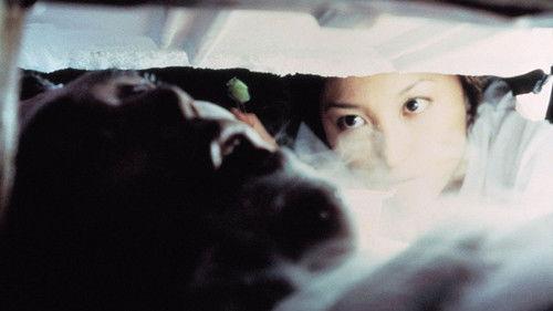 Freeze Me filmas žiurėti online