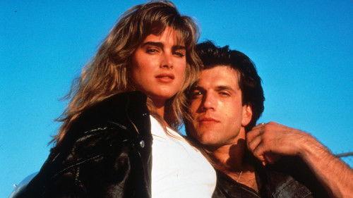 Backstreet Dreams filmas žiurėti online