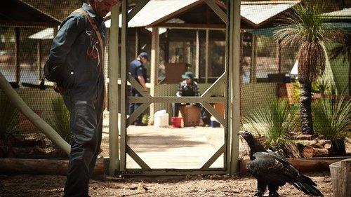 Healing filmas žiurėti online