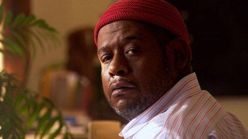 Ripple Effect filmas žiurėti online