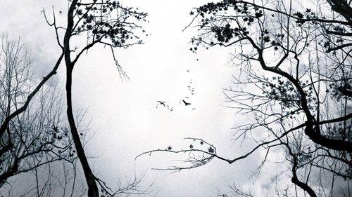 Nuojauta filmas žiurėti online