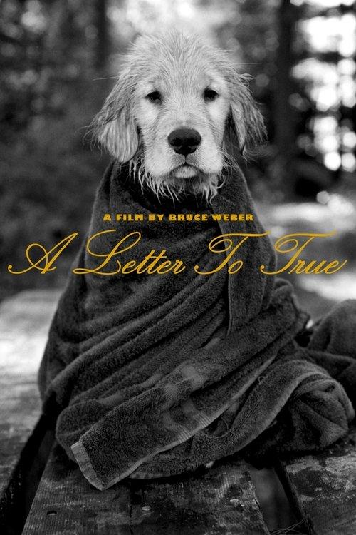 A Letter to True filmas online