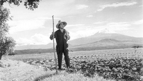 Nazarín filmas žiurėti online