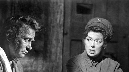 Mrs. Pollifax — Spy filmas žiurėti online