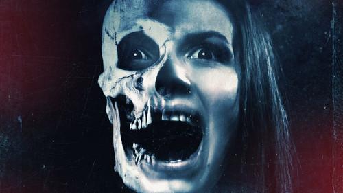 The Haunted filmas žiurėti online