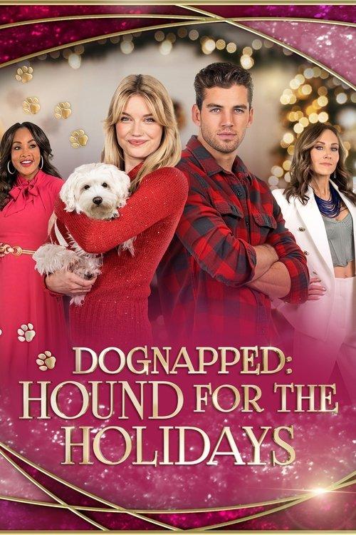 Dognapped: A Hound for the Holidays filmas online