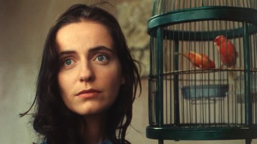 Abraham's Valley filmas žiurėti online