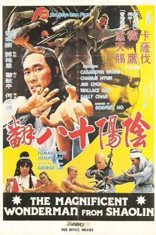 Magnificent Wonderman filmas online