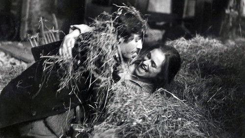 Red Wheat filmas žiurėti online