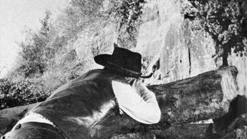 Shotgun filmas žiurėti online