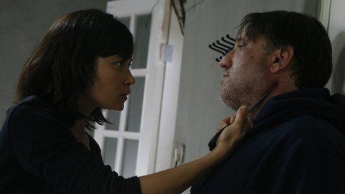 The Assassin Next Door filmas žiurėti online