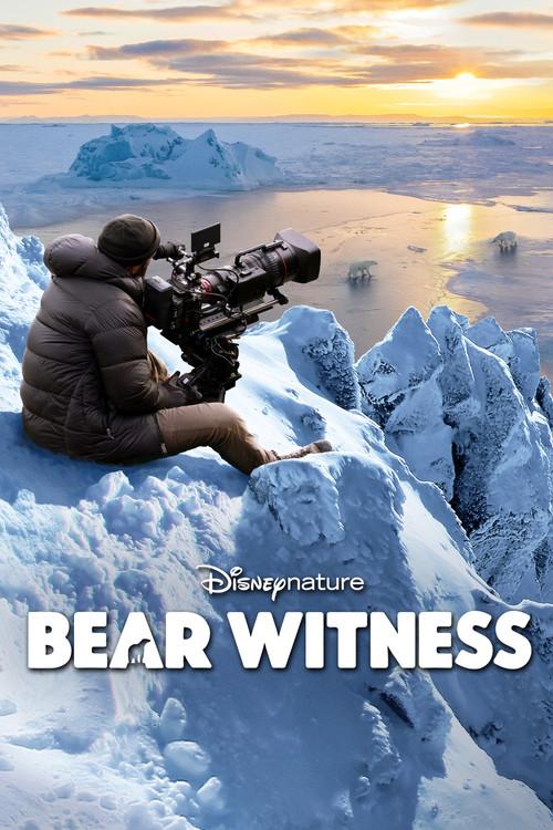 Bear Witness filmas online