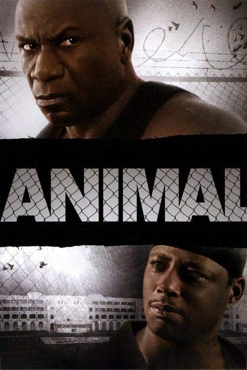 Animal filmas online