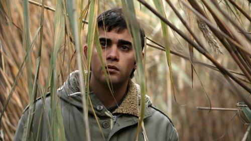 Süt filmas žiurėti online