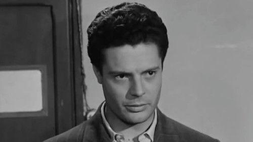 The Accusation filmas žiurėti online