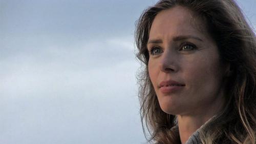 8 Winds filmas žiurėti online