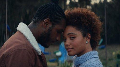 The Young Wife filmas žiurėti online