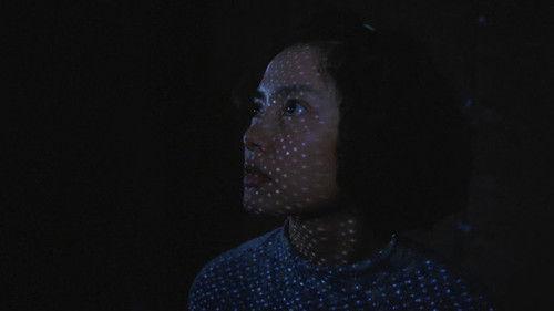 Goodbye, Dragon Inn filmas žiurėti online