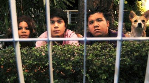 The Bedside Detective filmas žiurėti online