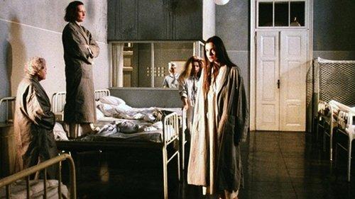 Day of the Idiots filmas žiurėti online