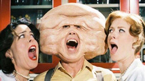 Trail of the Screaming Forehead filmas žiurėti online