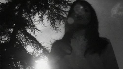 Destroy, She Said filmas žiurėti online