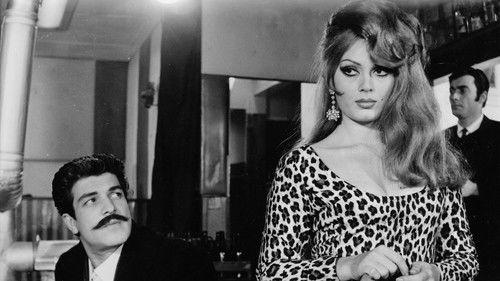 Vesikalı Yarim filmas žiurėti online