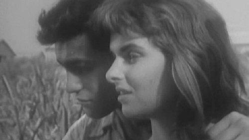 The Kidnapper filmas žiurėti online