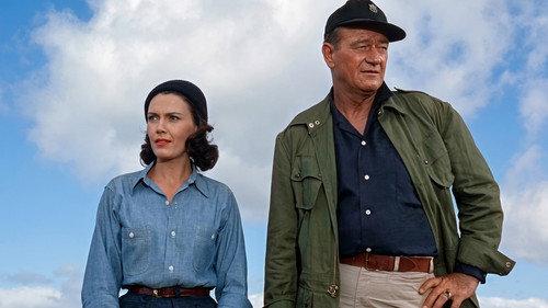 Donovan's Reef filmas žiurėti online