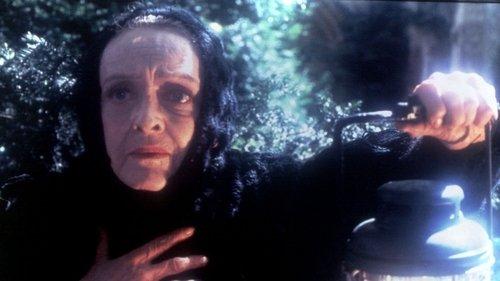 The Watcher in the Woods filmas žiurėti online