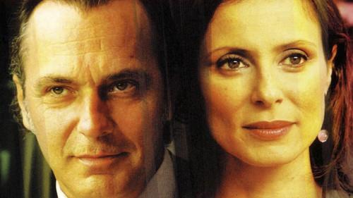 Wounded Animals filmas žiurėti online