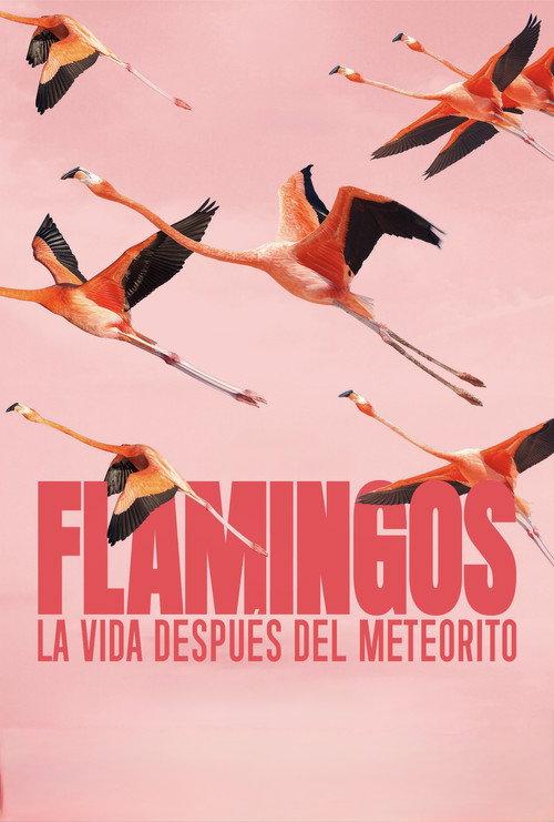 Flamingos: La vida después del meteorito filmas online
