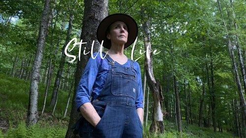 With/In Volume 2 filmas žiurėti online