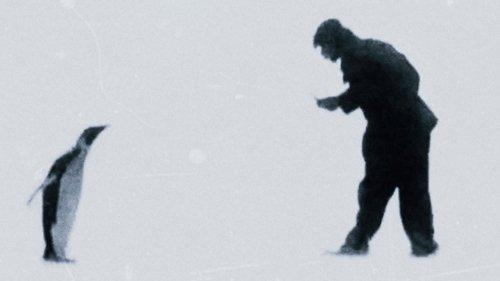 Bestiari, erbari, lapidari filmas žiurėti online