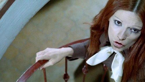 Death of a Hoodlum filmas žiurėti online