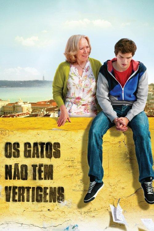 Os Gatos Não Têm Vertigens filmas online