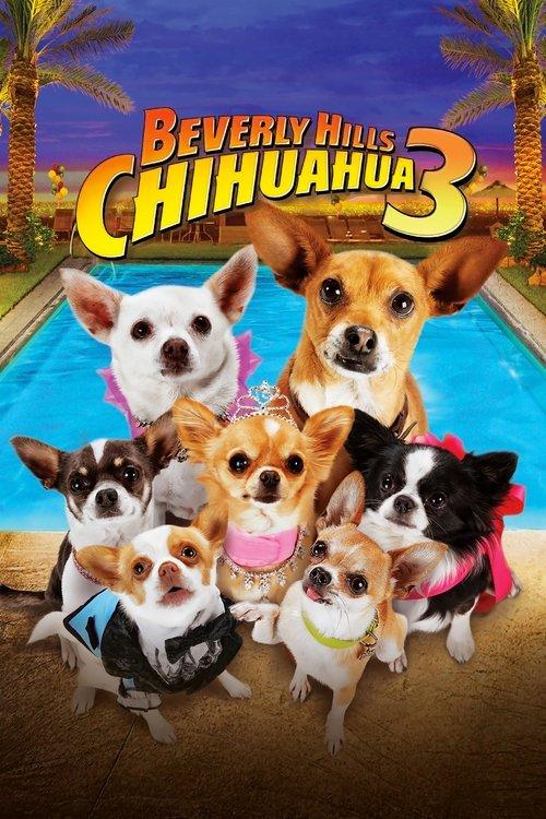 Beverly Hills Chihuahua 3: Viva la Fiesta! filmas online